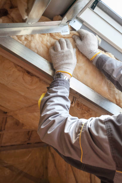 Best Blown-in Insulation  in Magnolia, NC