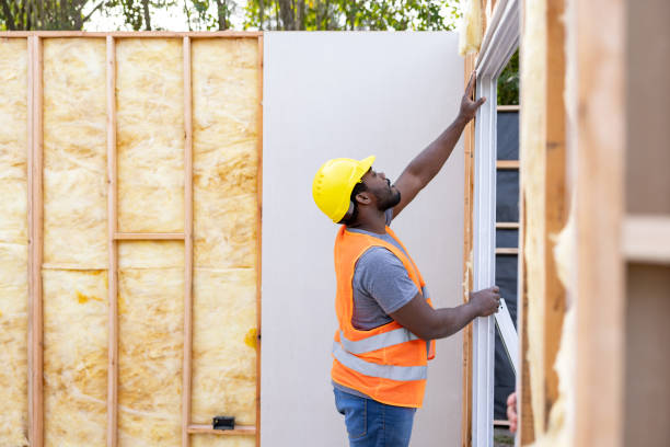Best Blown-in Insulation  in Magnolia, NC
