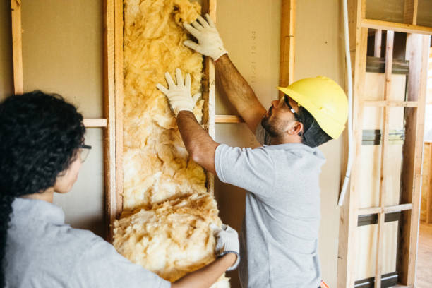 Best Insulation for New Construction  in Magnolia, NC