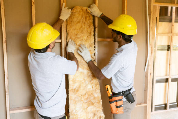 Best Soundproof Insulation Installation  in Magnolia, NC