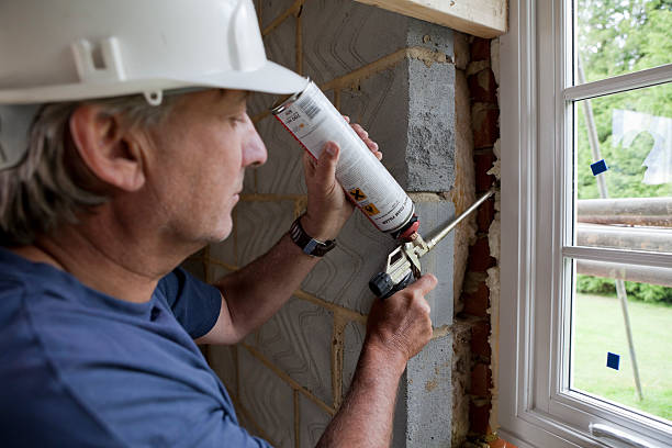 Best Local Insulation Services  in Magnolia, NC